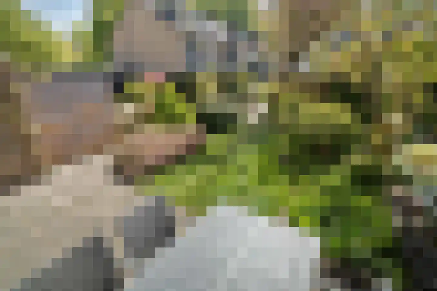 Oostergo 46 Zoetermeer thumbnail 15