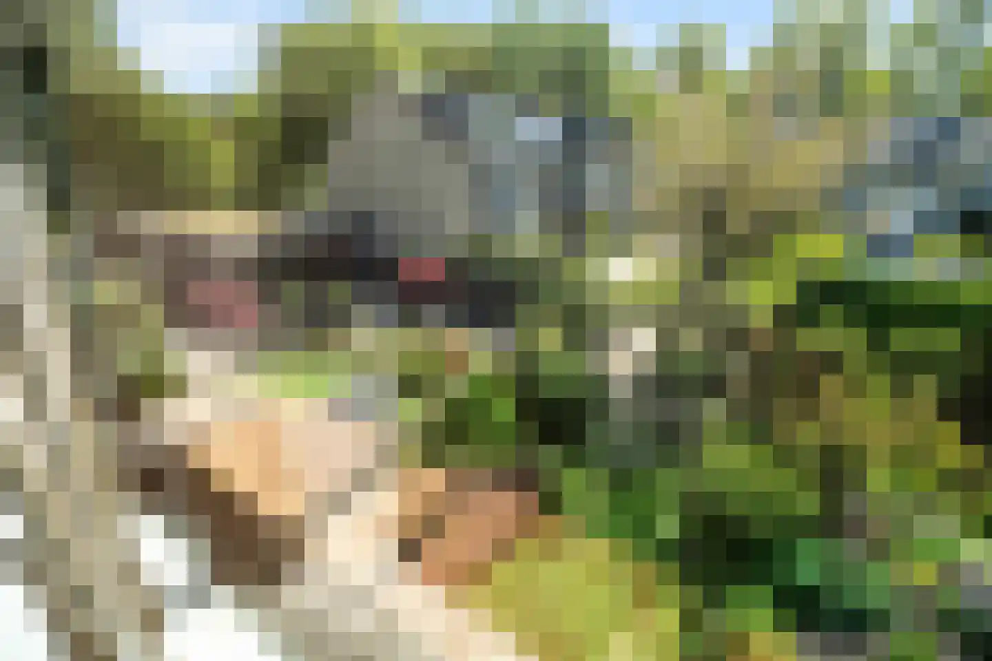 Oostergo 46 Zoetermeer thumbnail 31