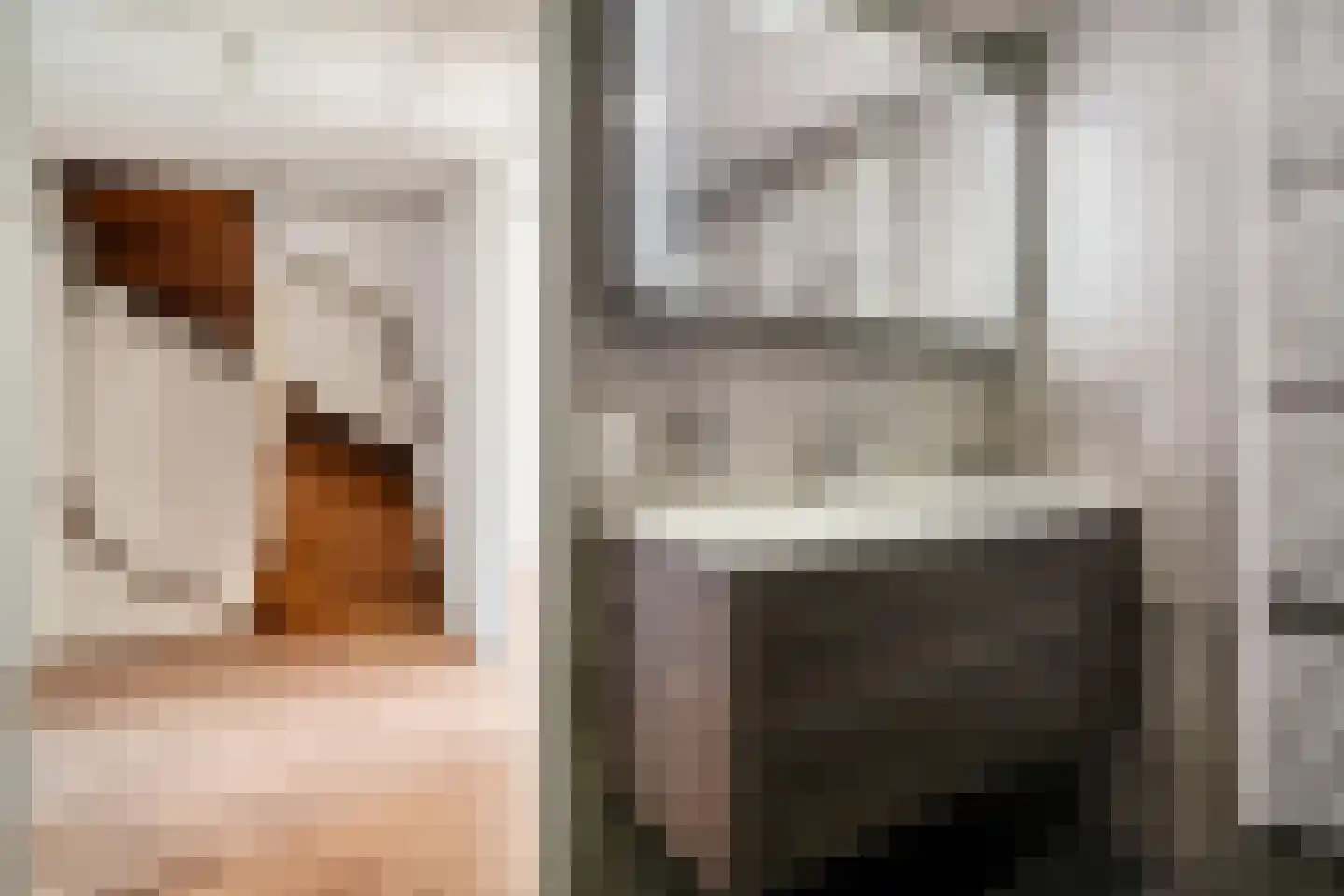 Oostergo 46 Zoetermeer thumbnail 36
