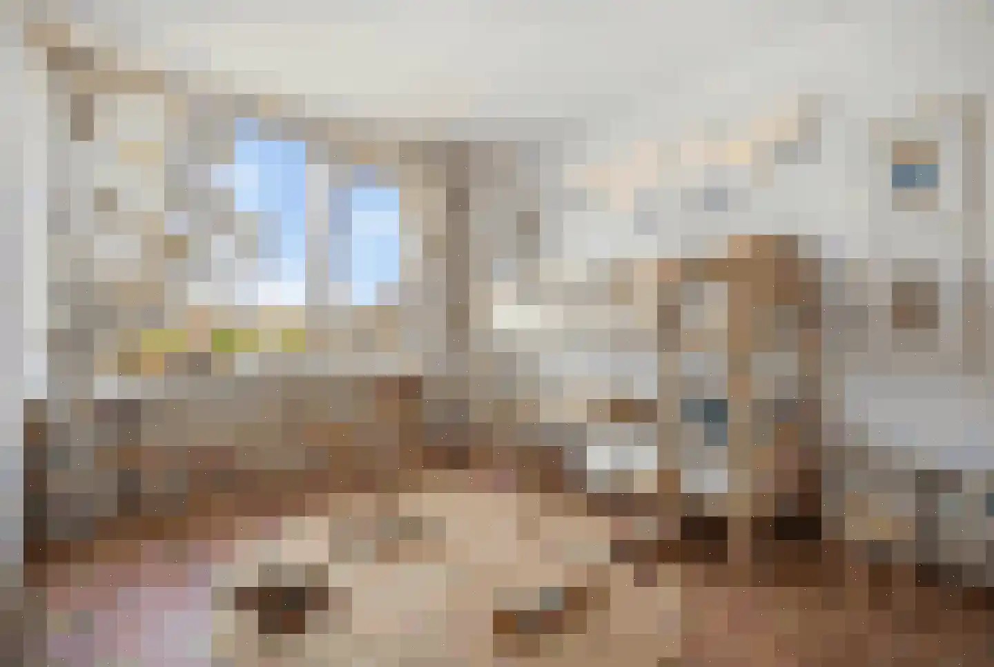 Oostergo 46 Zoetermeer thumbnail 39