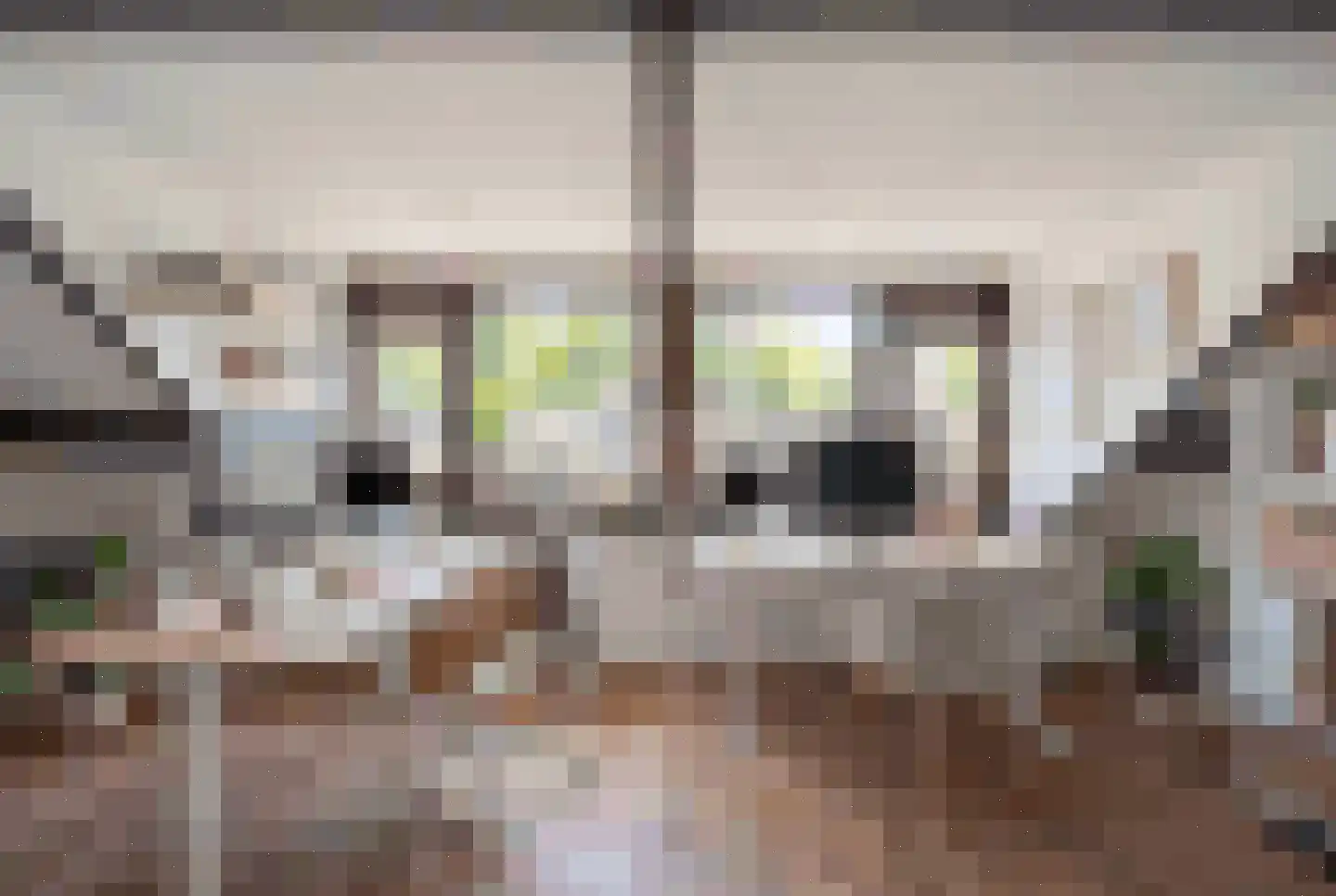Oostergo 46 Zoetermeer thumbnail 49