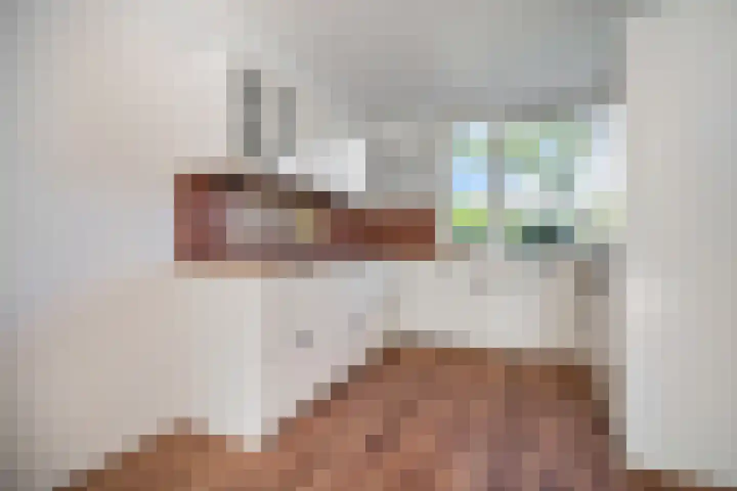Oostergo 46 Zoetermeer thumbnail 5