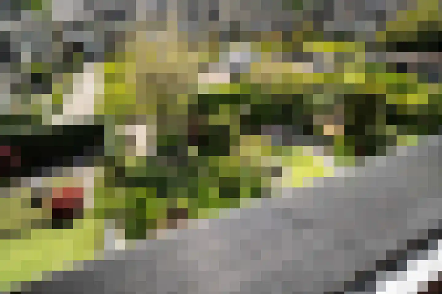 Oostergo 46 Zoetermeer thumbnail 50