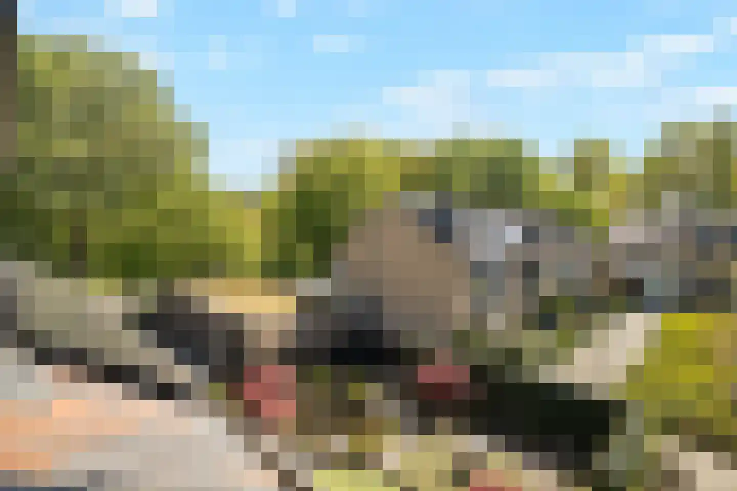 Oostergo 46 Zoetermeer thumbnail 53
