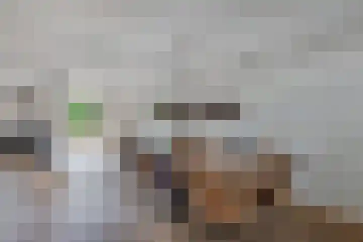 Oostergo 54 Lelystad thumbnail 23