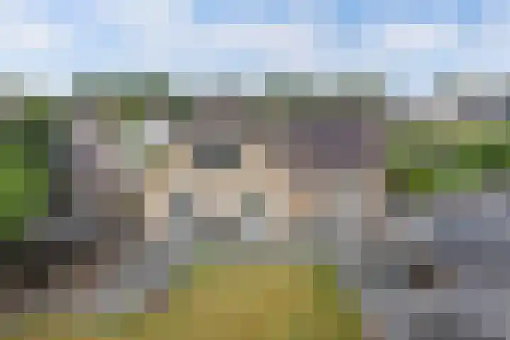 Oostergo 54 Lelystad thumbnail 50