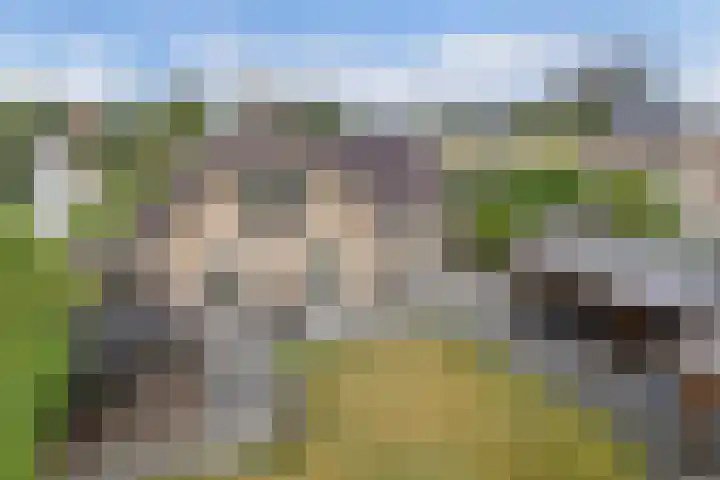 Oostergo 54 Lelystad thumbnail 68