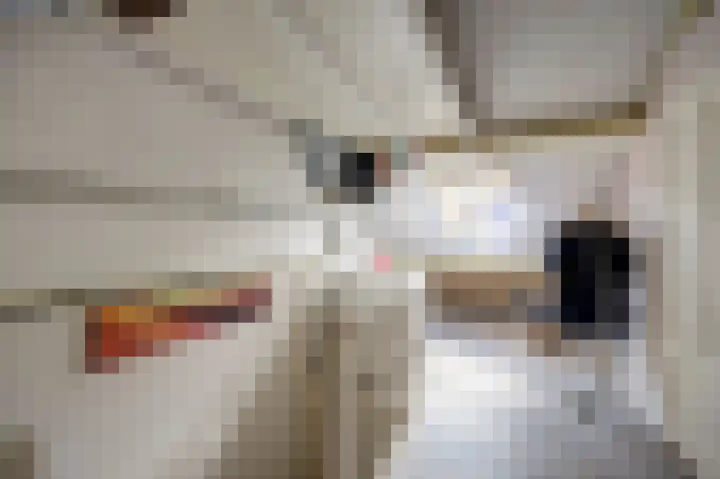 Oostergo 67 Zeewolde thumbnail 26
