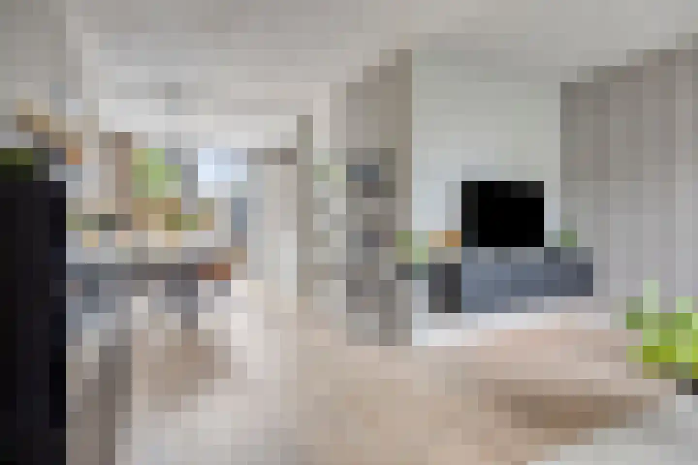 Oostergostraat 2 Eindhoven thumbnail 10