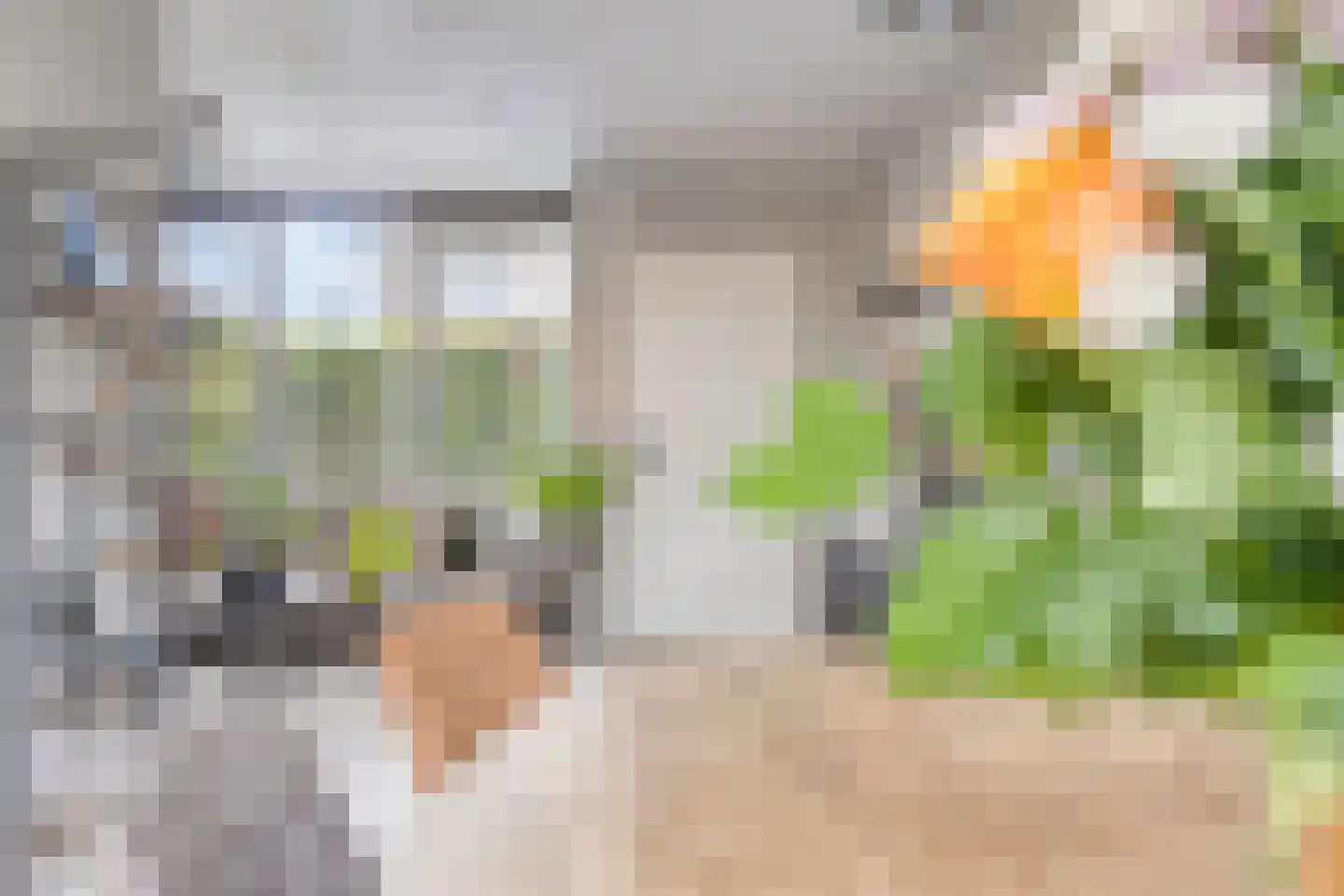 Oostergostraat 2 Eindhoven thumbnail 19