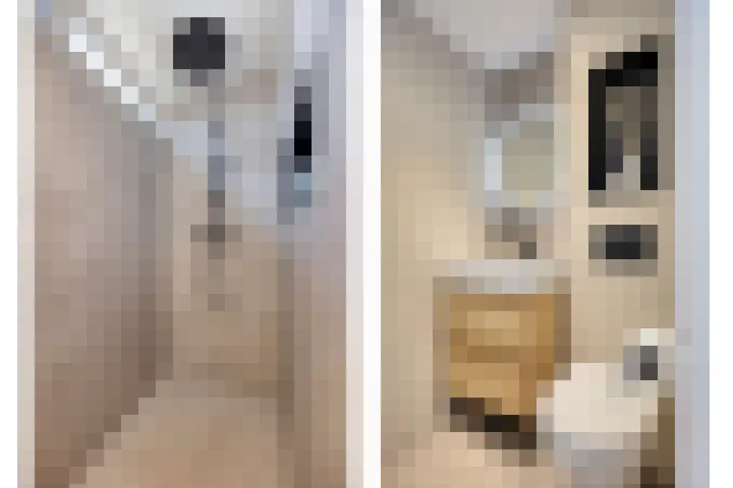 Oostergostraat 2 Eindhoven thumbnail 28