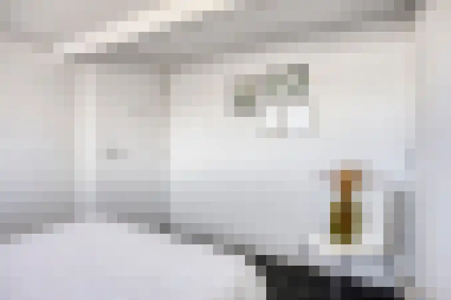 Oostergostraat 2 Eindhoven thumbnail 34