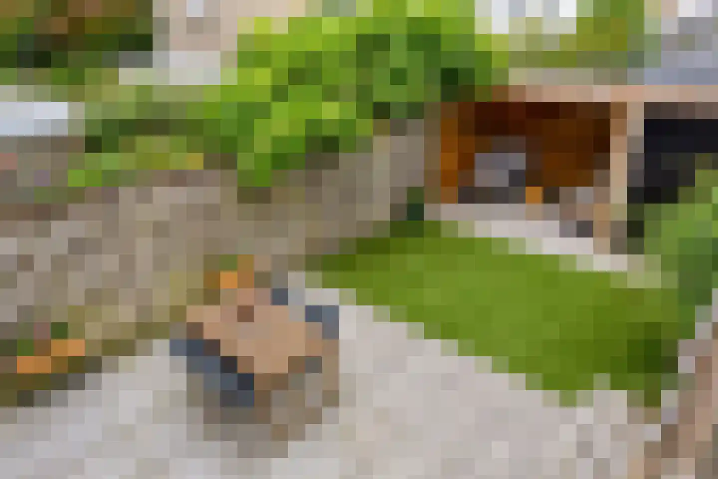 Oostergostraat 2 Eindhoven thumbnail 39