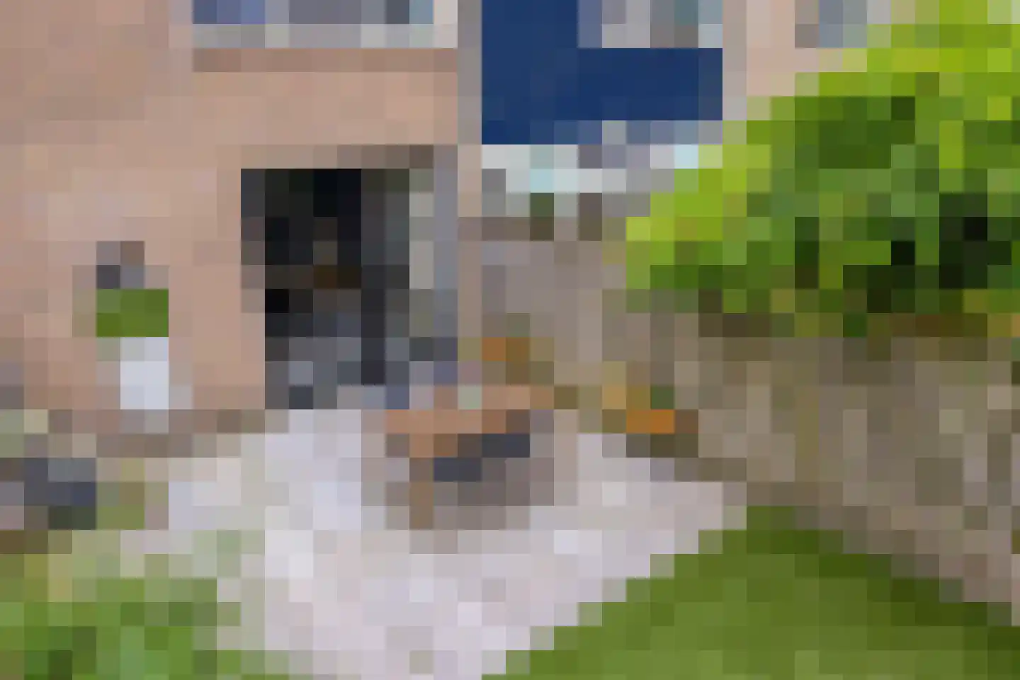 Oostergostraat 2 Eindhoven thumbnail 40