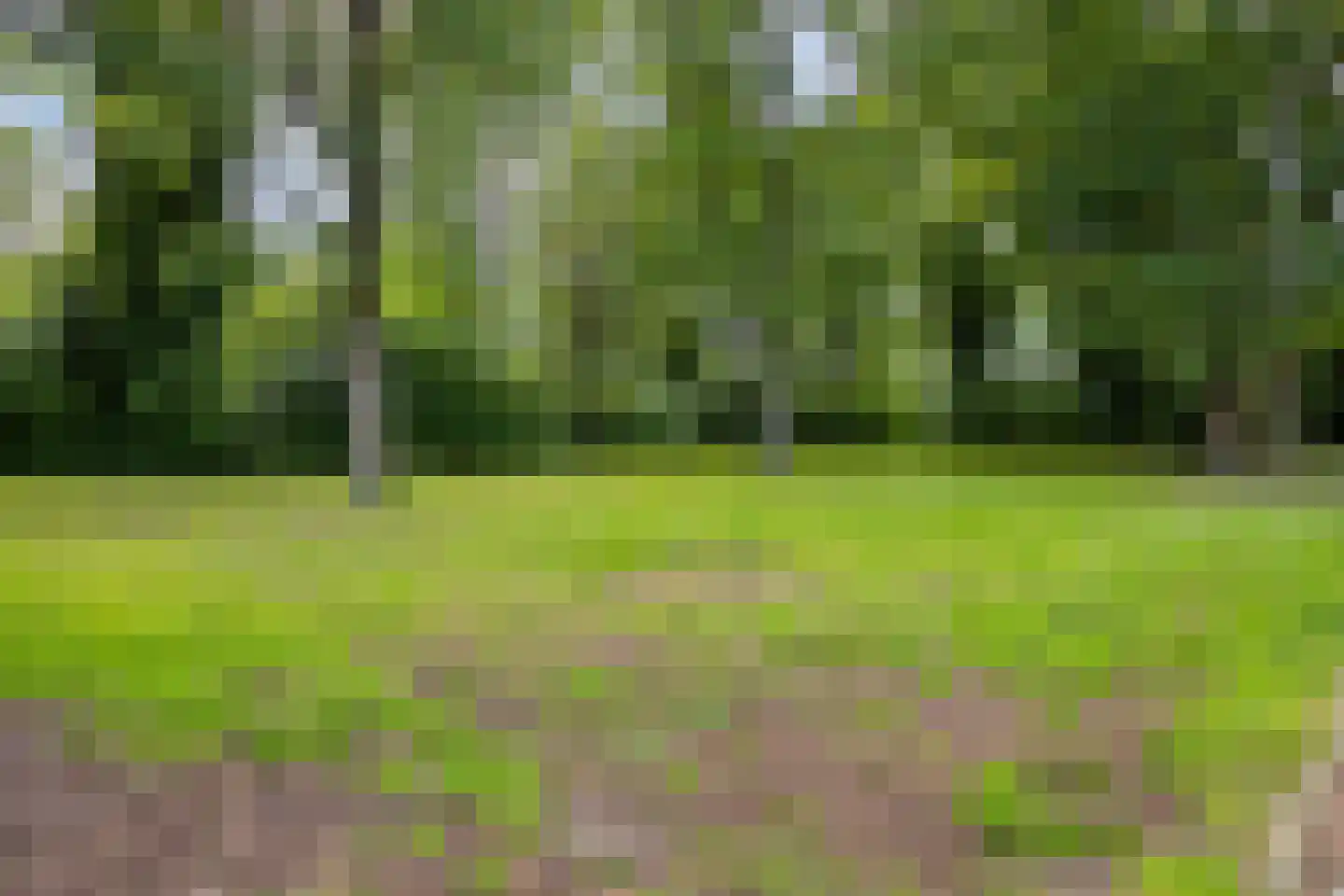 Oostergostraat 2 Eindhoven thumbnail 49