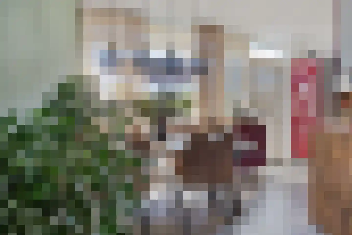 Oostergostraat 3 Eindhoven thumbnail 10