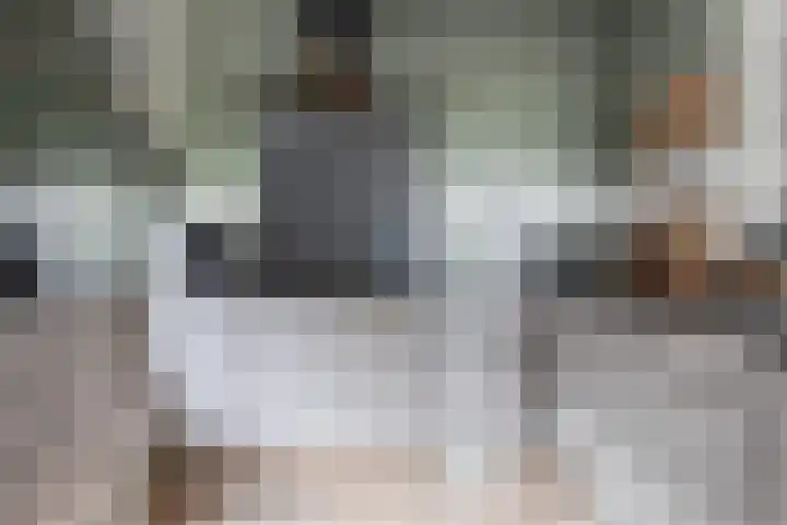 Oostergouw 36 Venhuizen thumbnail 10