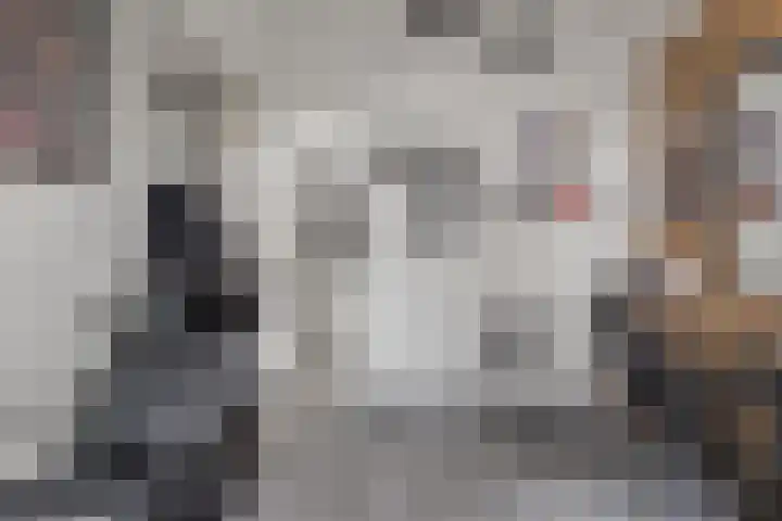 Oostergouw 36 Venhuizen thumbnail 22