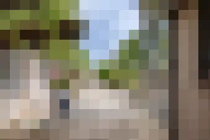 Oostergouw 36 Venhuizen thumbnail 25