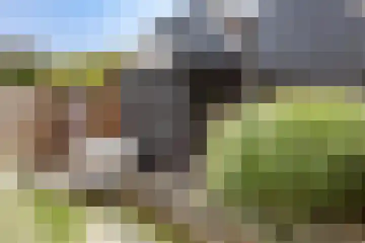Oostergouw 36 Venhuizen thumbnail 28