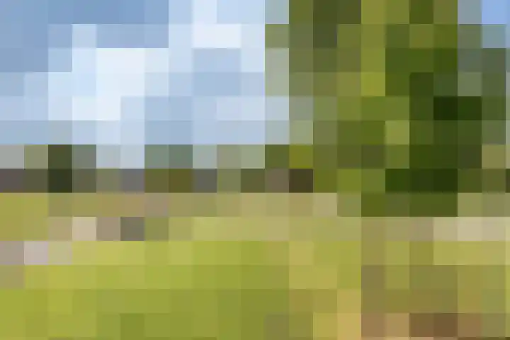 Oostergouw 36 Venhuizen thumbnail 31