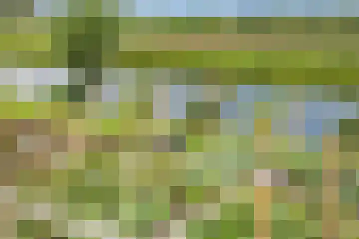 Oostergouw 36 Venhuizen thumbnail 32