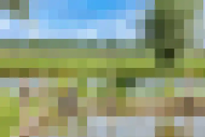 Oostergouw 36 Venhuizen thumbnail 33