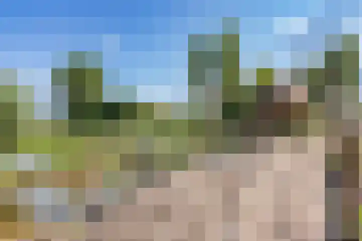 Oostergouw 36 Venhuizen thumbnail 34