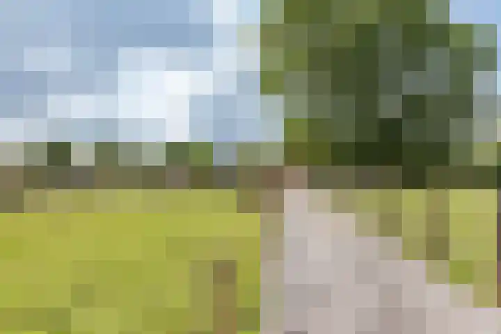 Oostergouw 36 Venhuizen thumbnail 35