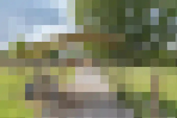 Oostergouw 36 Venhuizen thumbnail 36