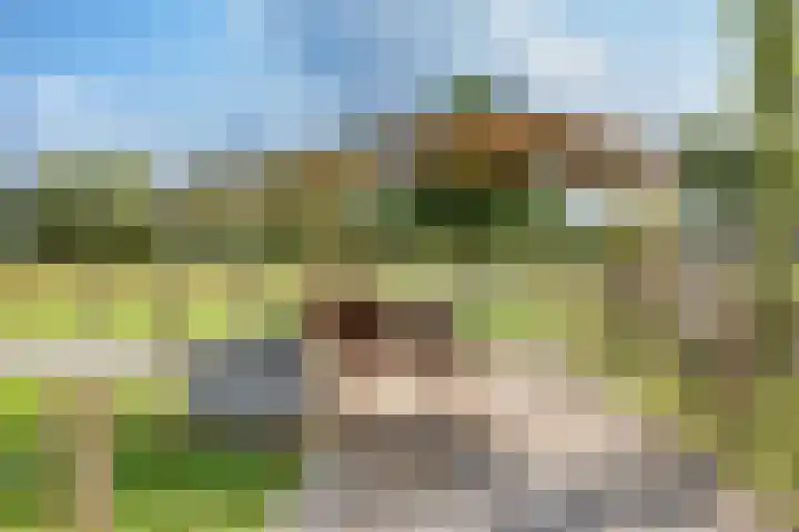 Oostergouw 36 Venhuizen thumbnail 37