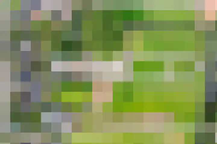 Oostergouw 36 Venhuizen thumbnail 46