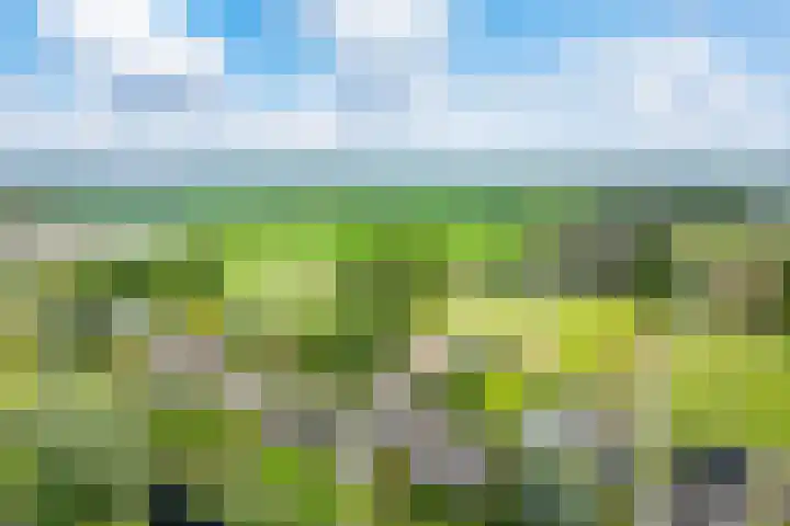 Oostergouw 36 Venhuizen thumbnail 47
