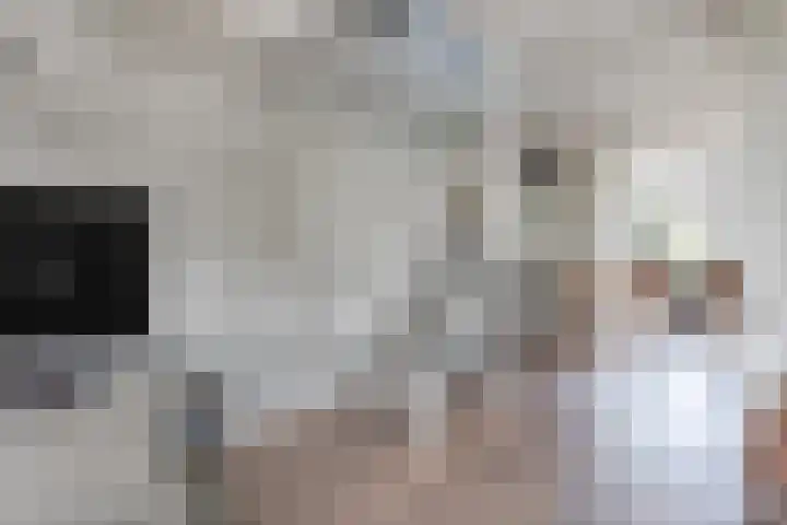 Oostergouw 36 Venhuizen thumbnail 8
