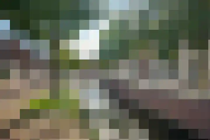 Oostergracht 28 Assen thumbnail 40
