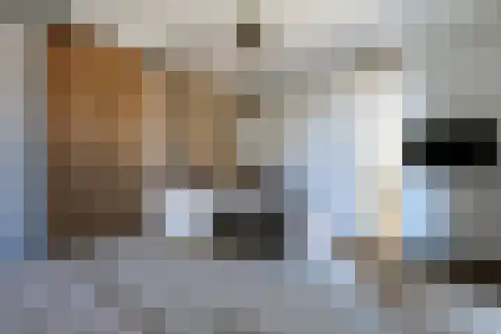 Oostergracht 62 Assen thumbnail 19