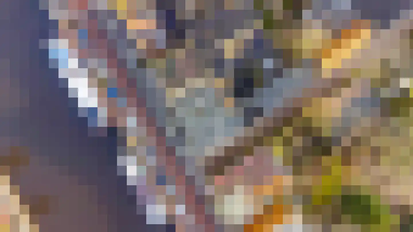 Oostergrachtswal 9 a Leeuwarden thumbnail 37