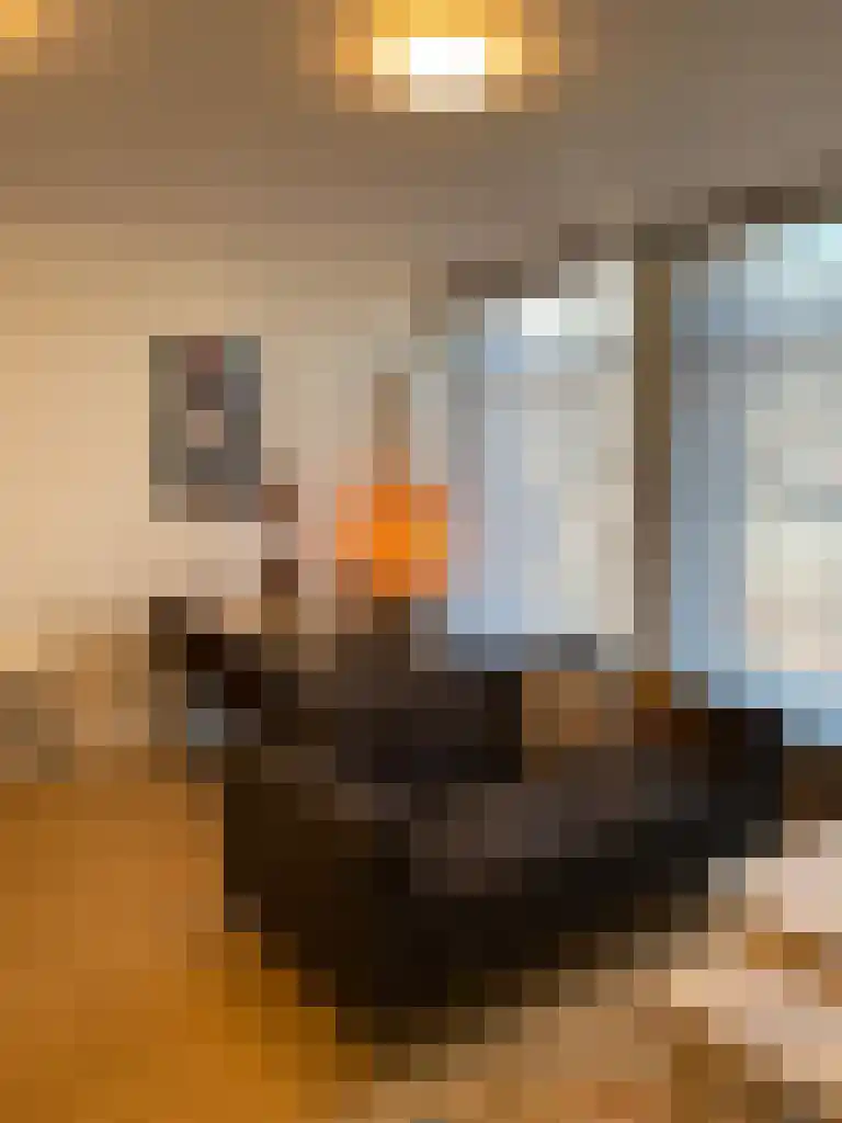 Oostergrachtswal 9 Leeuwarden thumbnail 5