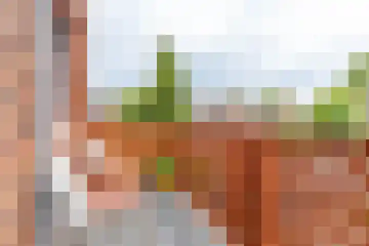 Oosterhamrikkade 102 e Groningen thumbnail 21