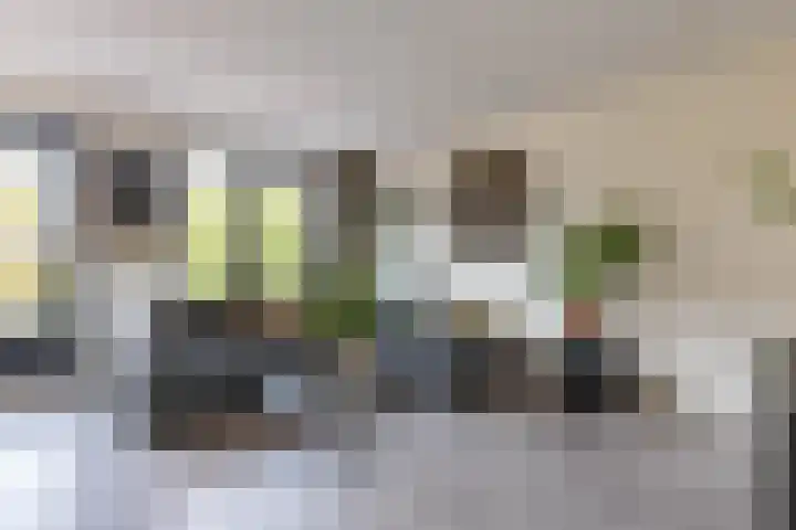 Oosterhamrikkade 102 e Groningen thumbnail 7