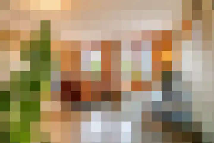 Oosterhamrikkade 102 g Groningen thumbnail 7