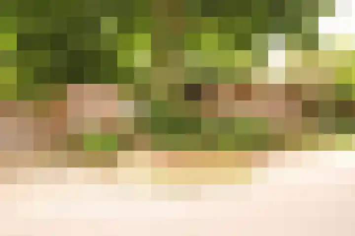 Oosterhamrikkade 1029 Groningen thumbnail 23