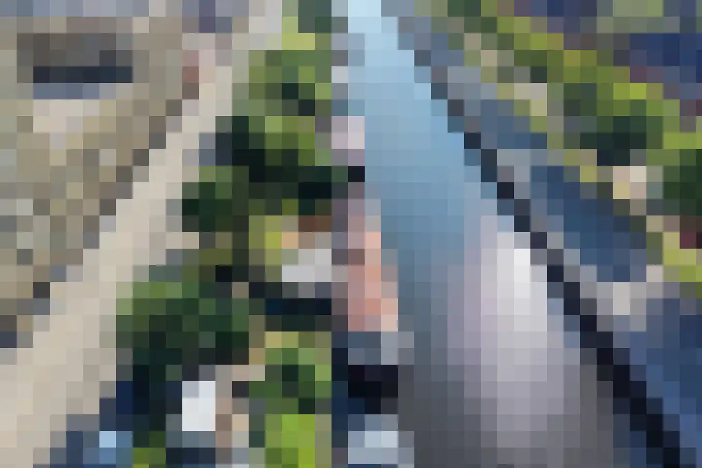 Oosterhamrikkade 1043 Groningen thumbnail 33