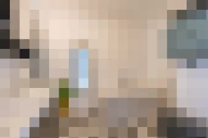 Oosterhamrikkade 108 c Groningen thumbnail 35