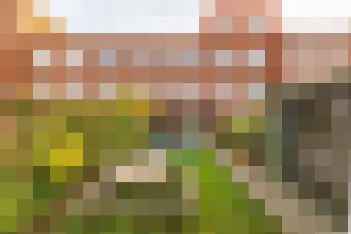 Oosterhamrikkade 108 c Groningen thumbnail 51