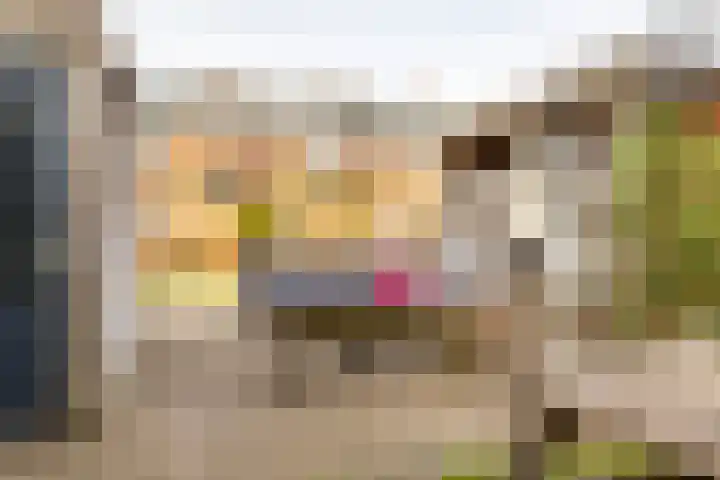 Oosterhamrikkade 108 c Groningen thumbnail 54