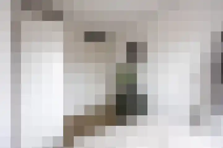 Oosterhamrikkade 112 e Groningen thumbnail 21