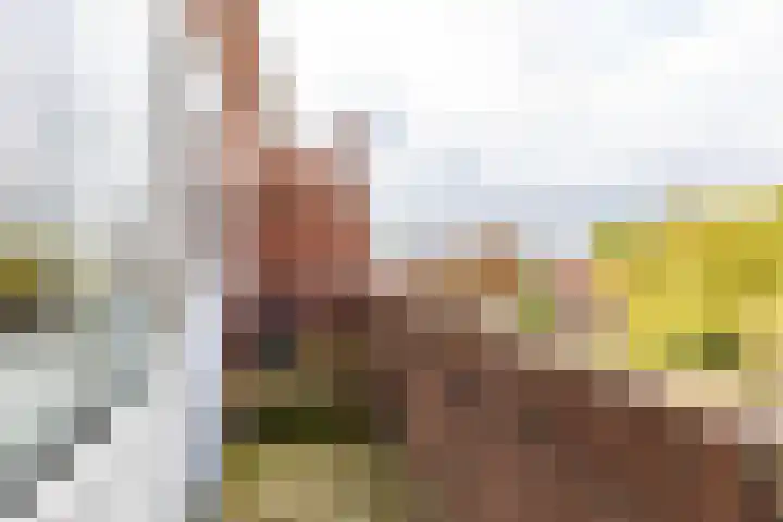 Oosterhamrikkade 24 b Groningen thumbnail 30