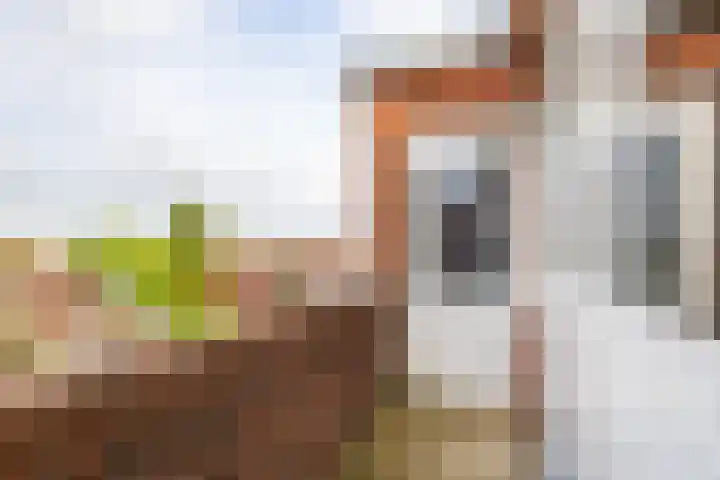 Oosterhamrikkade 24 b Groningen thumbnail 31