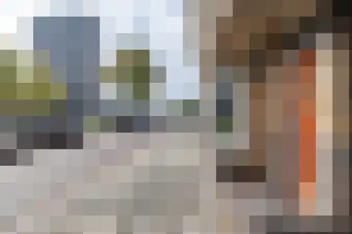 Oosterhamrikkade 24 b Groningen thumbnail 33